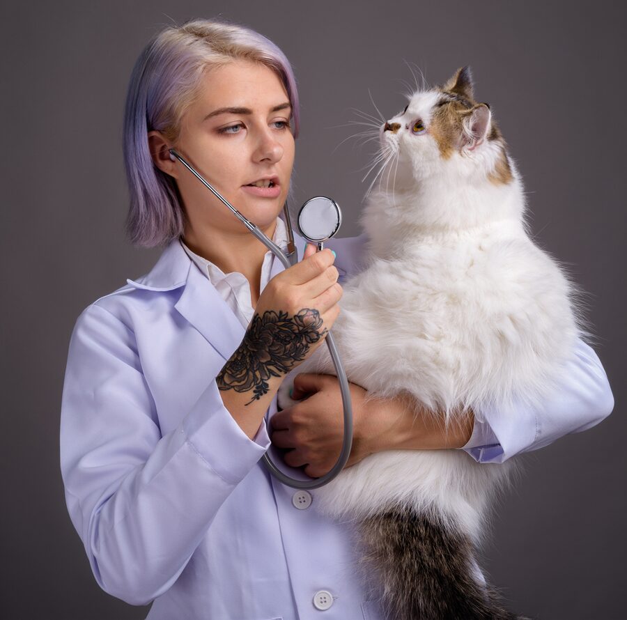 Studio shot of young beautiful woman doctor with colorful hair against gray background